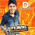 Flavio e Pizada Quente Rep. Março 2014 Pra Paredão - Musicas Novas